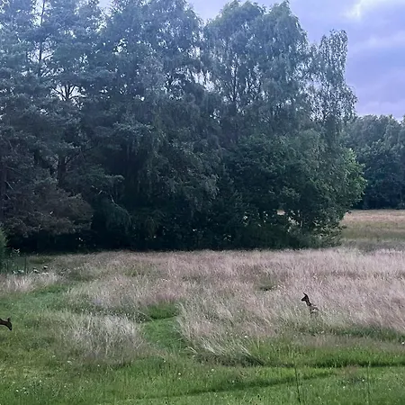 Idyllic With Forest View 에벨토프트