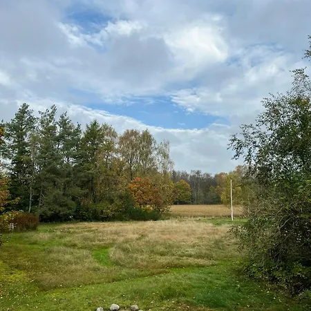 Idyllic With Forest View *
