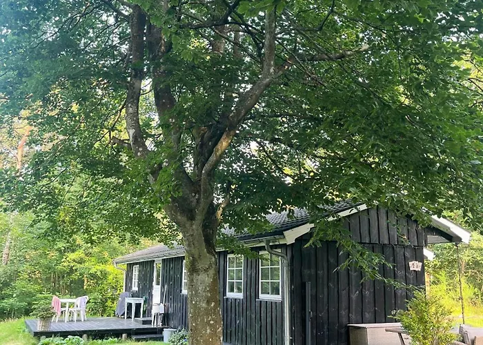 Idyllic With Forest View * Ebeltoft